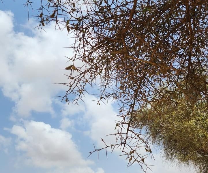 현장사진 - Senegal