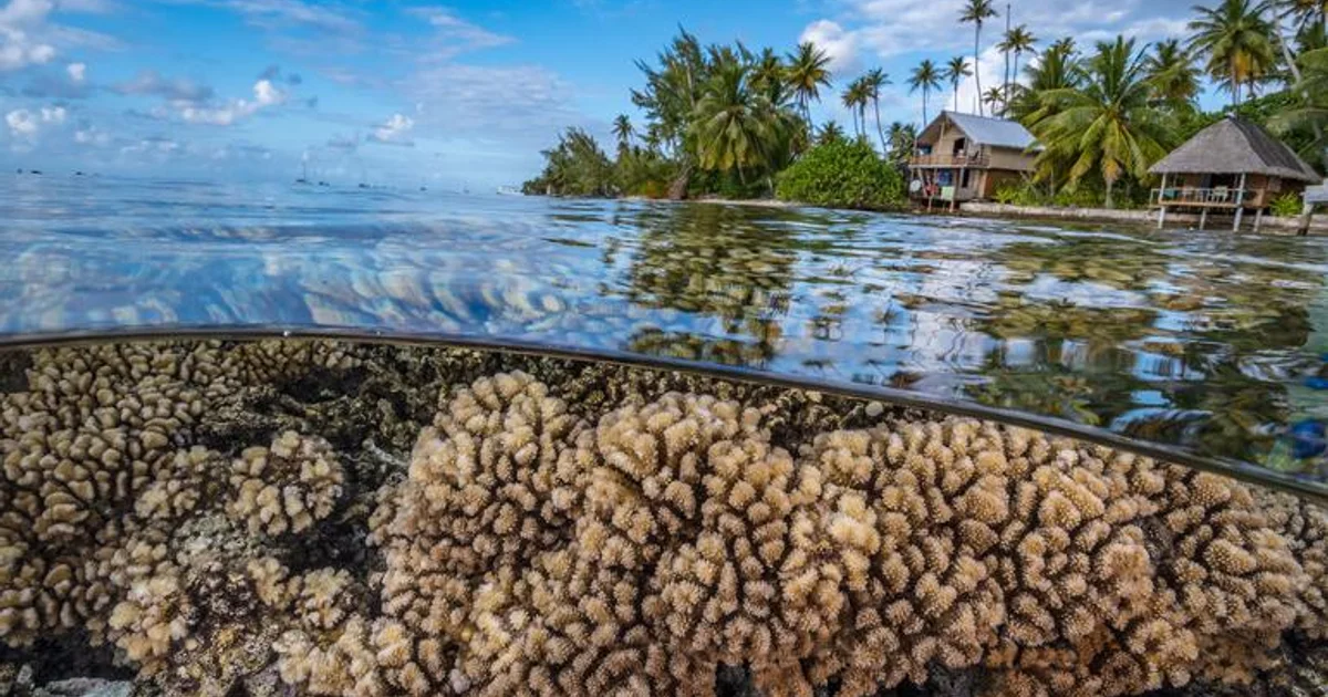 Humanity’s future depends on protecting the rapidly changing ocean