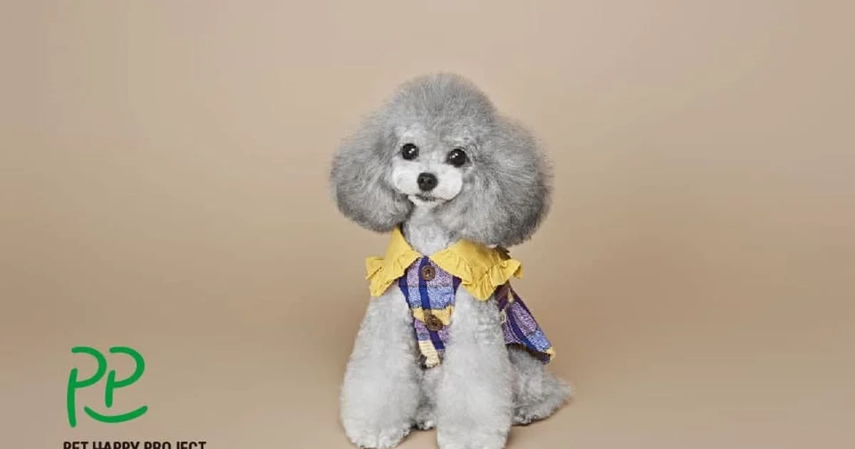 도농어산촌 반려동물행복프로젝트(Pet Happy Project)