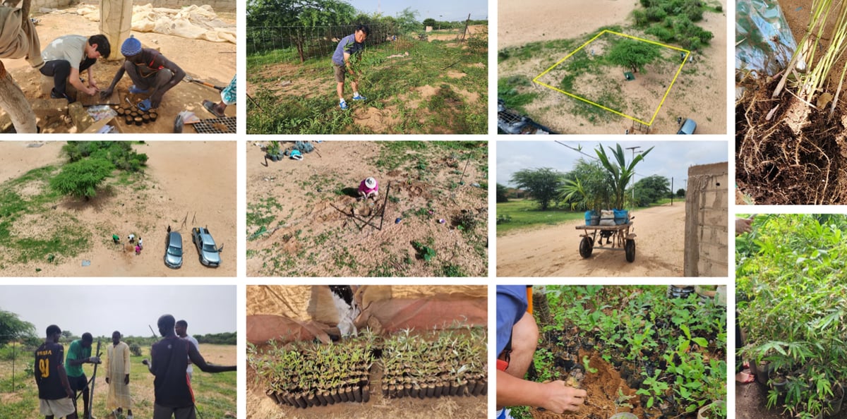 Greening Earth