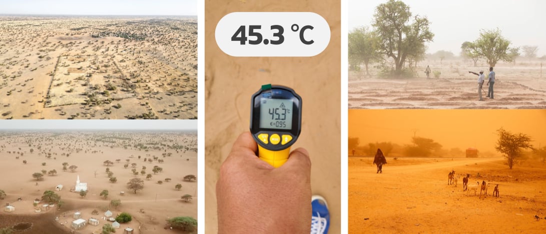 Greening Sahara field photo