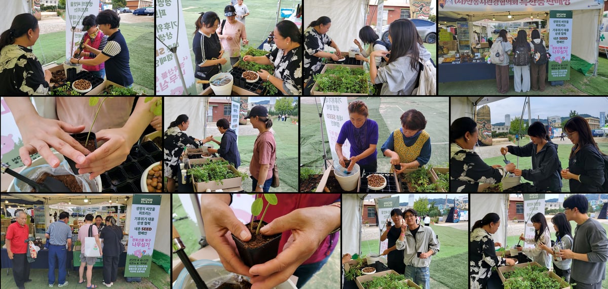 Andong Mask Dance Festival seedling planting campaign