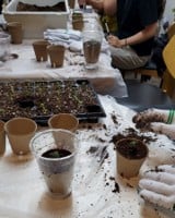 Member seed kit distribution
