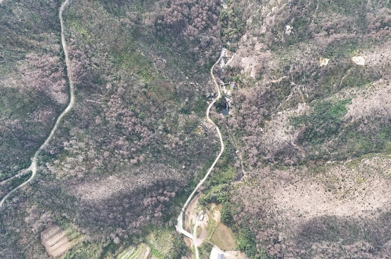 Aerial photo of wildfire damage