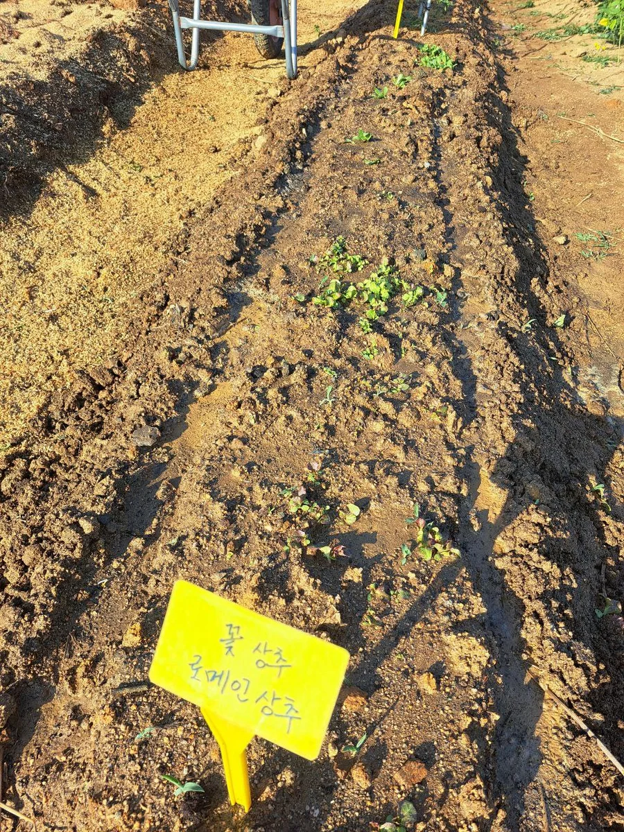 photo_2026-06-16_11-45-57.webp