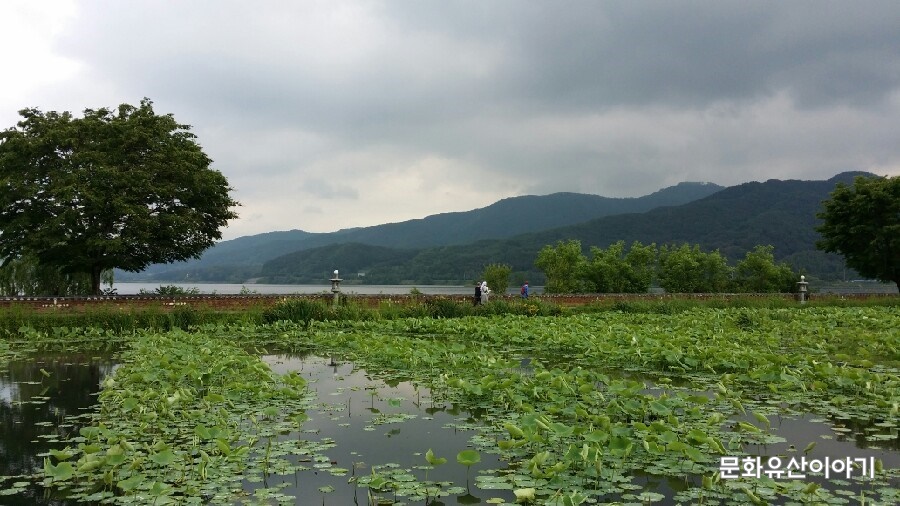 반려동물이야기